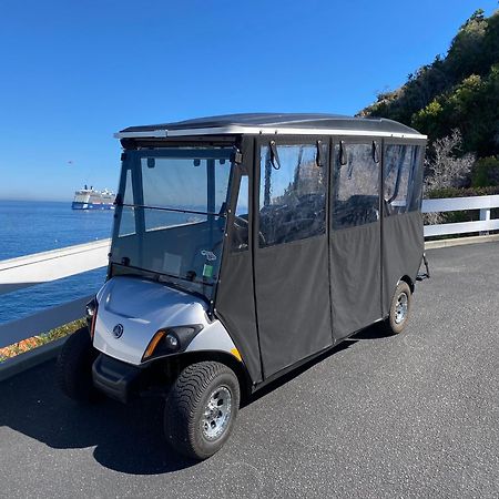 Lux Oceanfront Penthouse Suite Wpanoramic Views Avalon Exteriör bild